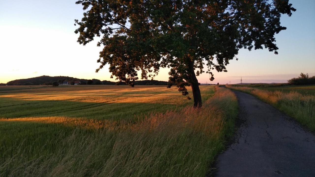 Ferienwohnung Twete Detmold Eksteriør bilde